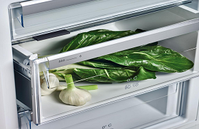 新一代库博仕冰箱上市，定义不一样的鲜活滋味