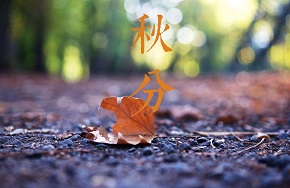 库博仕怎么样?初秋时节,库博仕电磁炉臻现小吊梨汤