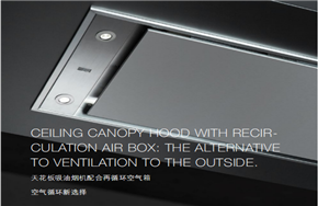 抽油烟机怎么清洗更省力？进口品牌怎么选